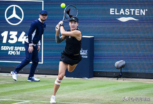 情和票房收 情和票房收