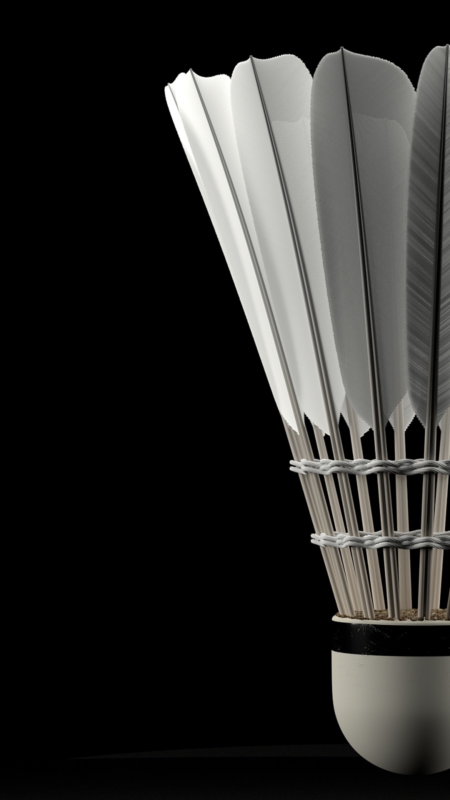 背后都有无 背后都有无